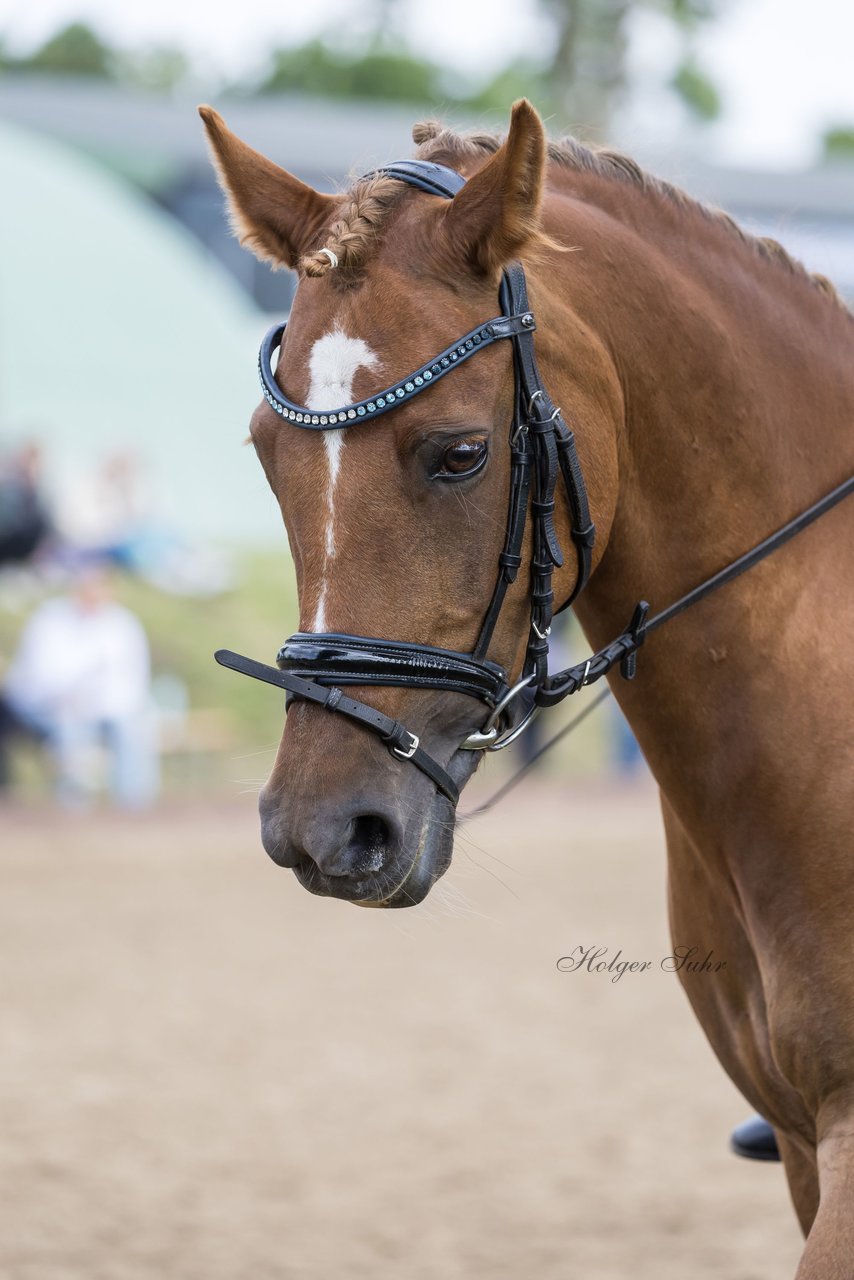 Bild 316 - Pony Akademie Turnier